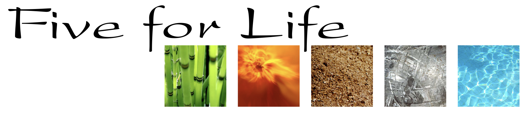Five for Life – Logo mit fünf Naturelement-Bildern: Holz, Feuer, Erde, Metall, Wasser